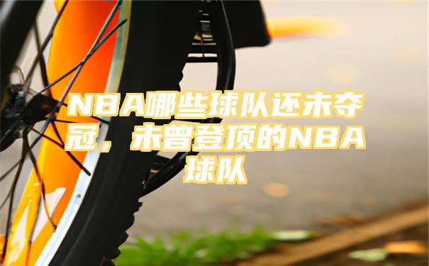 NBA哪些球队还未夺冠，未曾登顶的NBA球队