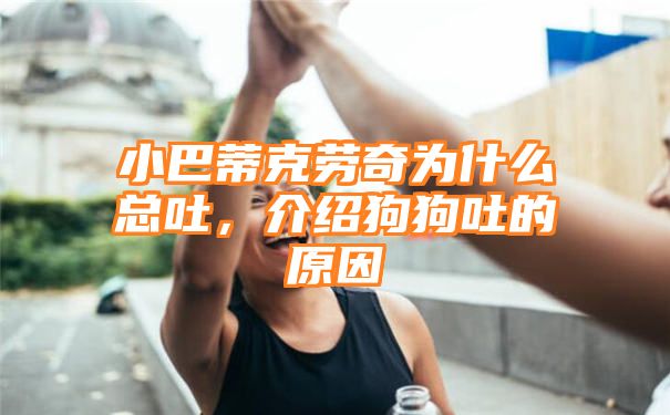 小巴蒂克劳奇为什么总吐，介绍狗狗吐的原因