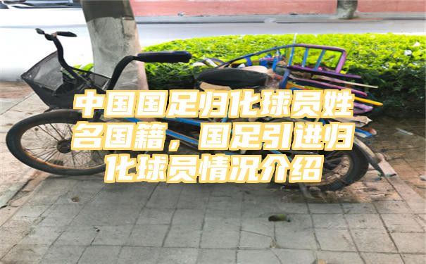 中国国足归化球员姓名国籍，国足引进归化球员情况介绍