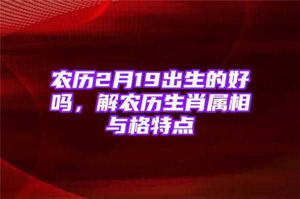 农历2月19出生的好吗，解农历生肖属相与格特点