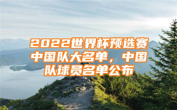 2022世界杯预选赛中国队大名单，中国队球员名单公布