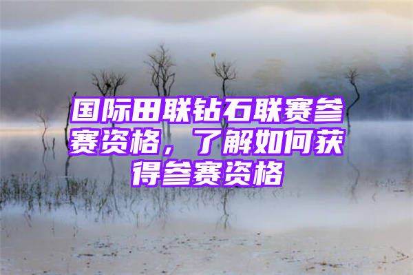 国际田联钻石联赛参赛资格，了解如何获得参赛资格