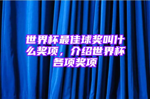 世界杯最佳球奖叫什么奖项，介绍世界杯各项奖项