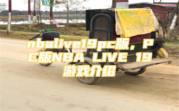 nbalive19pc版，PC版NBA LIVE 19游戏介绍