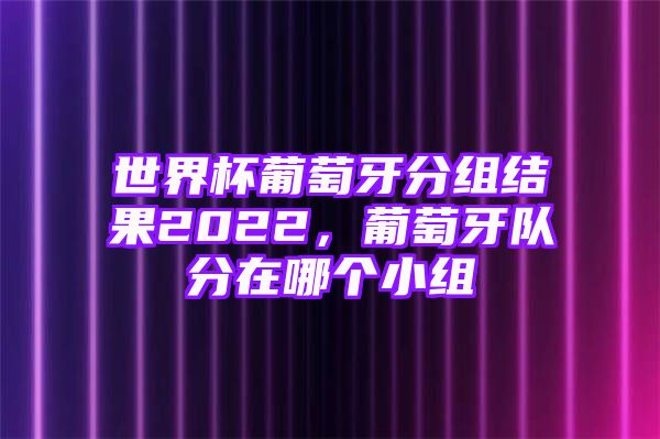 世界杯葡萄牙分组结果2022，葡萄牙队分在哪个小组