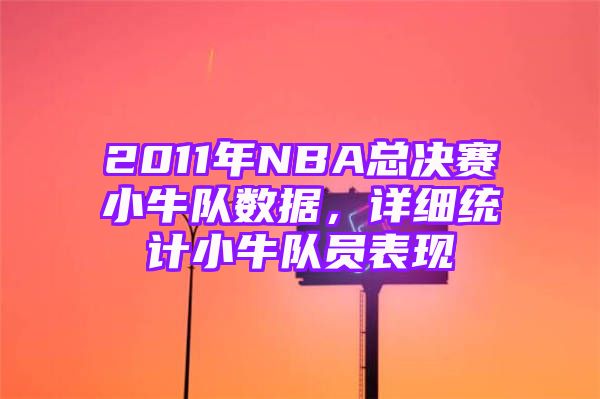 2011年NBA总决赛小牛队数据，详细统计小牛队员表现