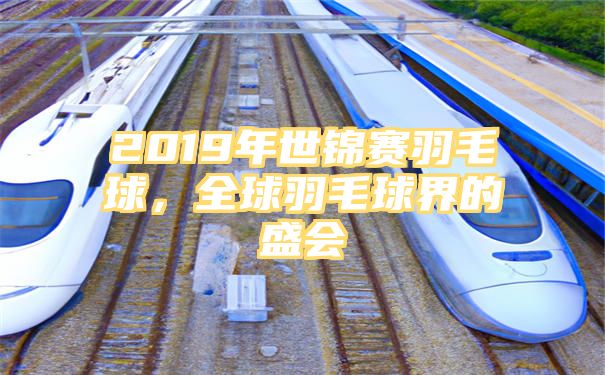 2019年世锦赛羽毛球，全球羽毛球界的盛会