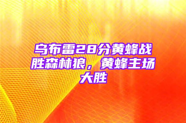 乌布雷28分黄蜂战胜森林狼，黄蜂主场大胜