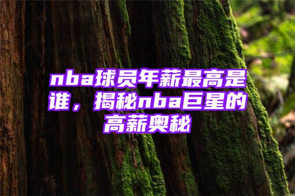 nba球员年薪最高是谁，揭秘nba巨星的高薪奥秘