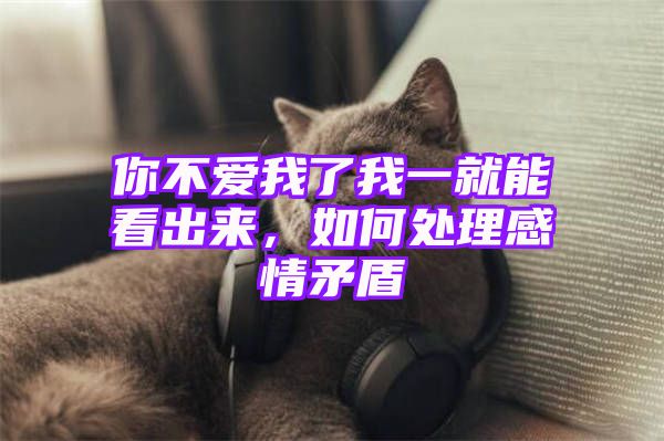 你不爱我了我一就能看出来，如何处理感情矛盾