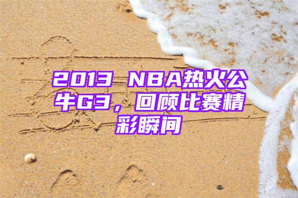 2013 NBA热火公牛G3，回顾比赛精彩瞬间